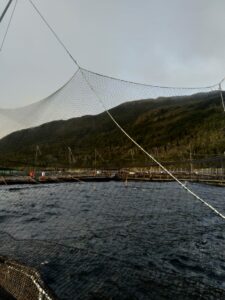 IMG-20200426-WA0004